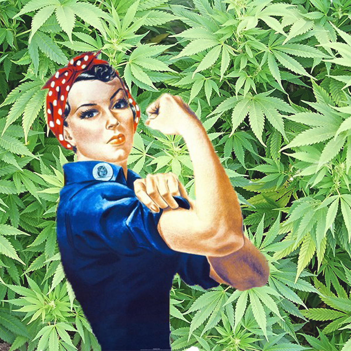 Women In Cannabis: The March Towards Equality - California Weed Blog